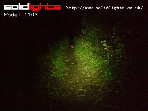 3 Watt 1103 shining along singletrack