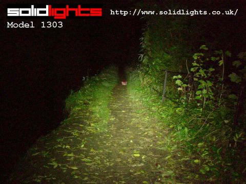 10 Watt 1303 shining along singletrack